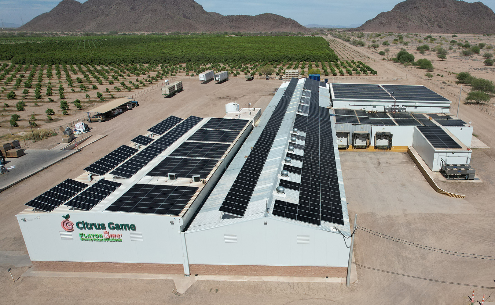 Empacadora de cítricos con sistema fotovoltaico